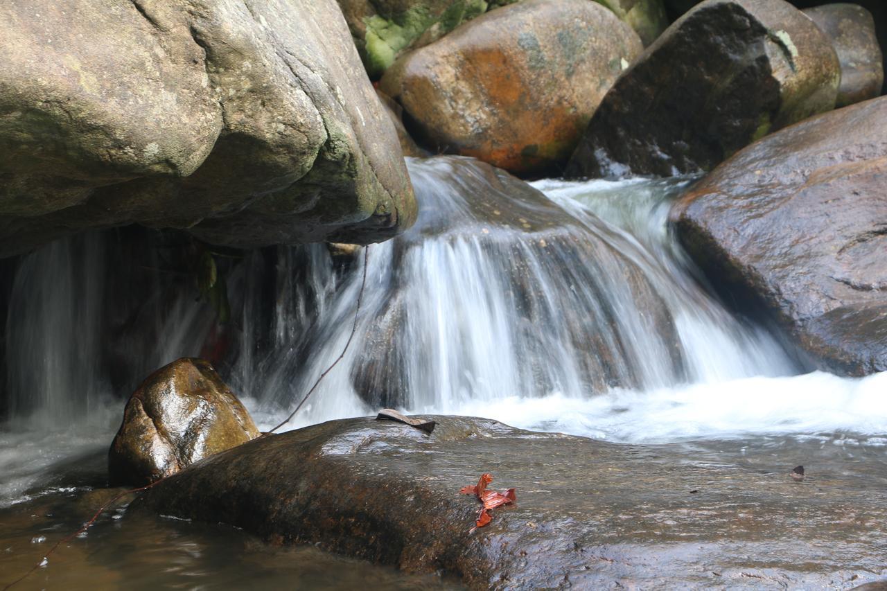 Girankiththa Eco Resort Kitulgala Bagian luar foto