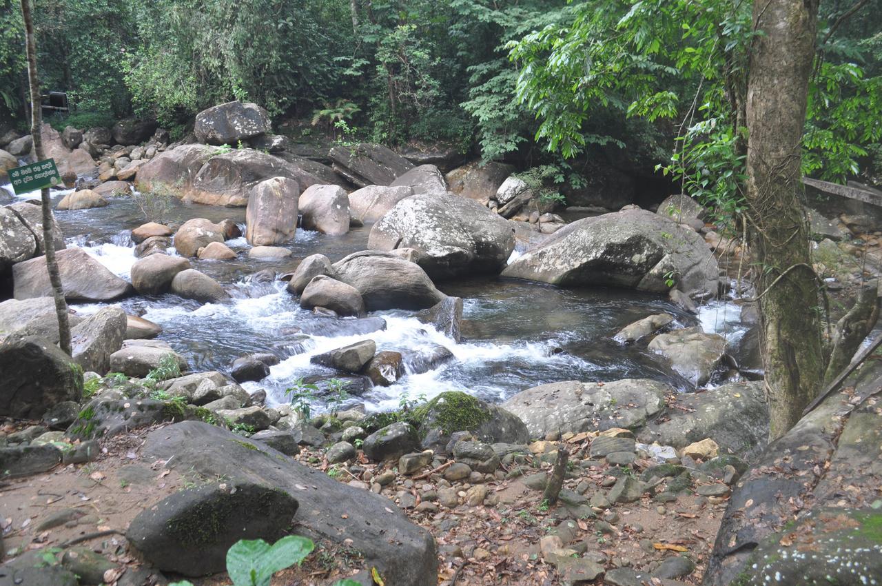 Girankiththa Eco Resort Kitulgala Bagian luar foto