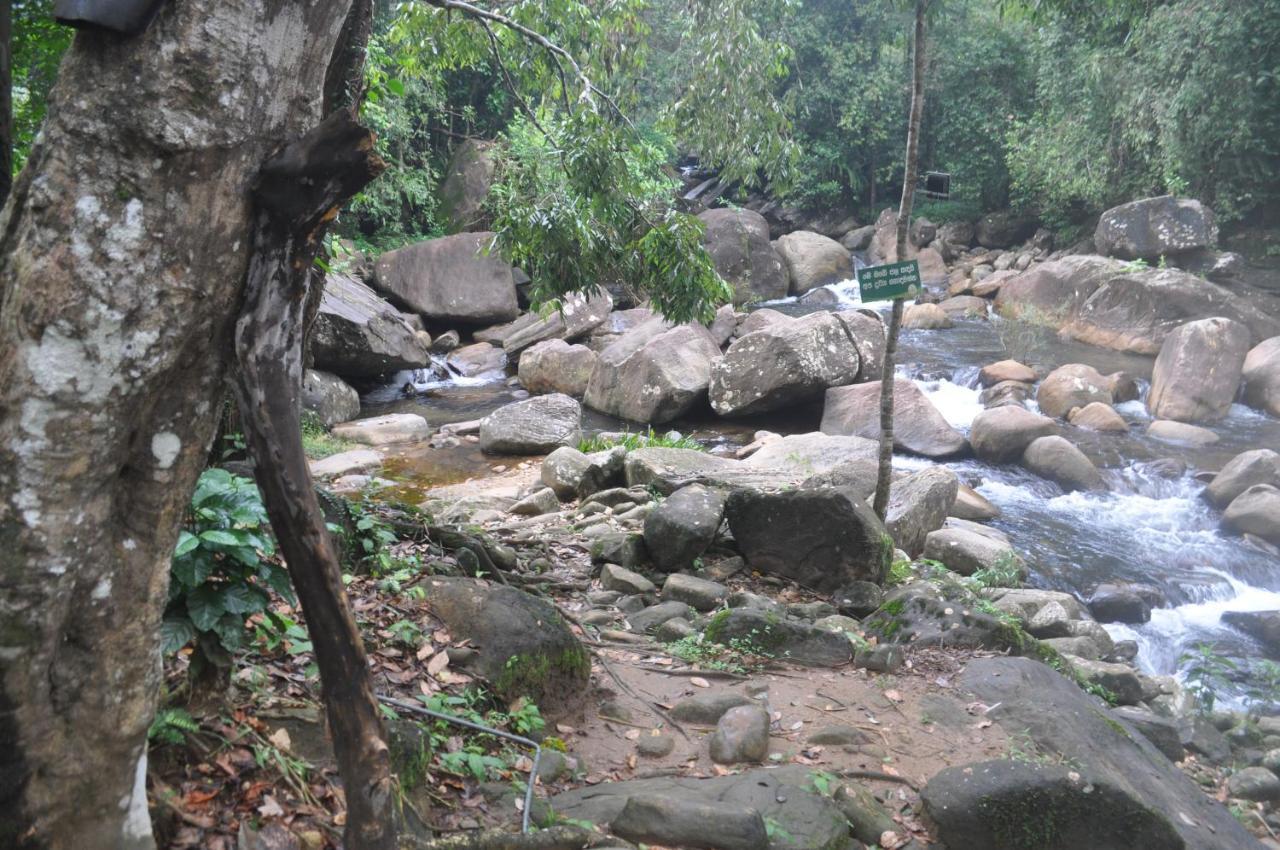 Girankiththa Eco Resort Kitulgala Bagian luar foto